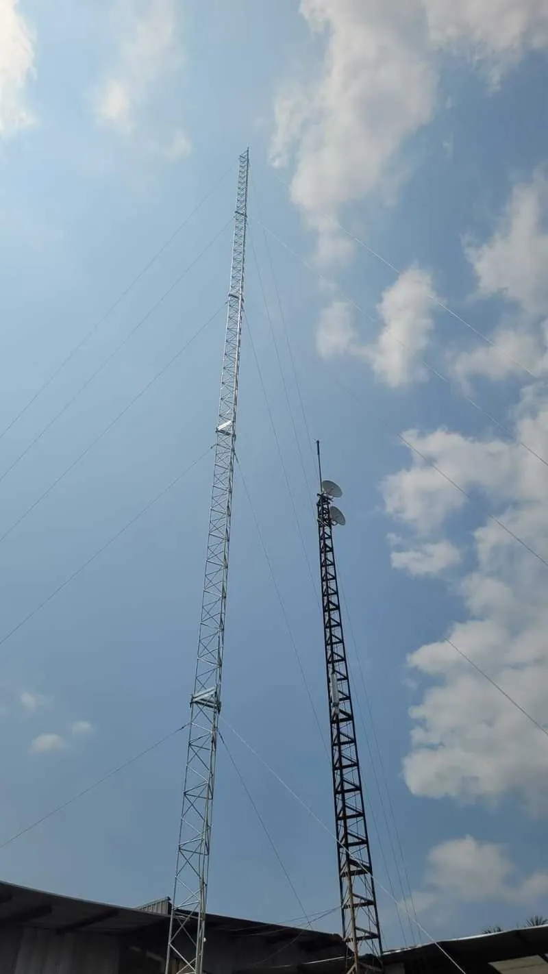 Instalasi tower triangle dan jaringan point to point di PT QL Agrofood